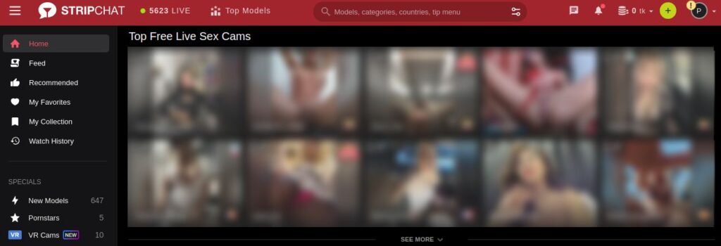Stripchat Mit Camgirls