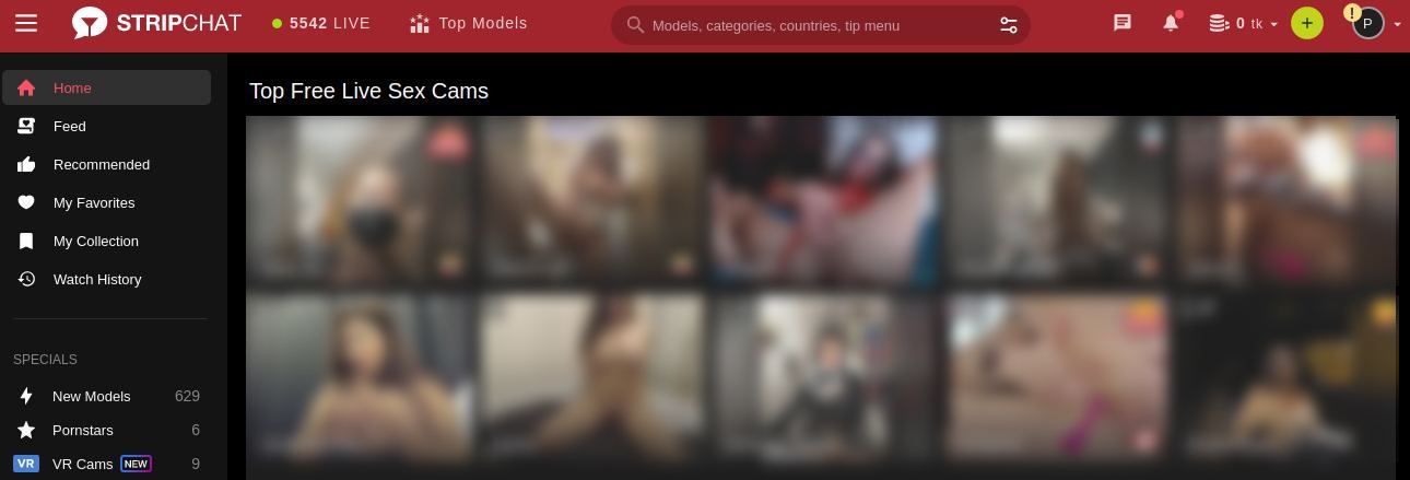 Stripchat mit Cam Girls