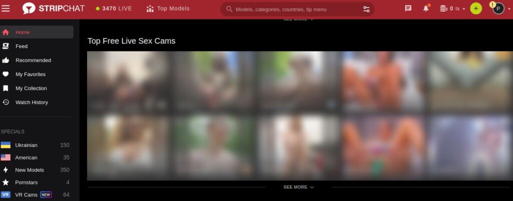 StripChat With Webcam Girls