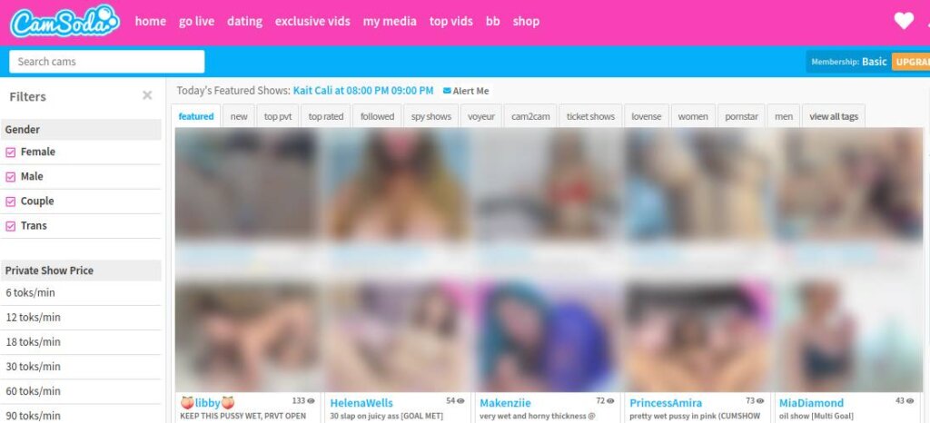 CamSoda Sex Cams - Main Page Screenshot