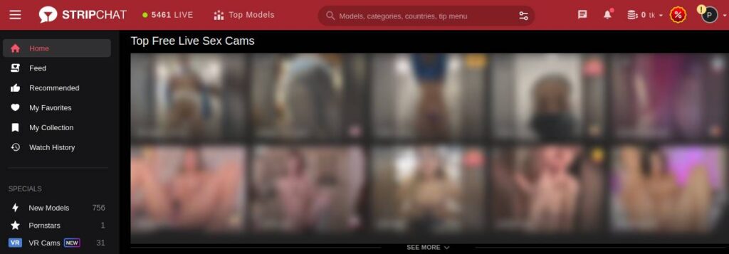 Home Page Of The StripChat
