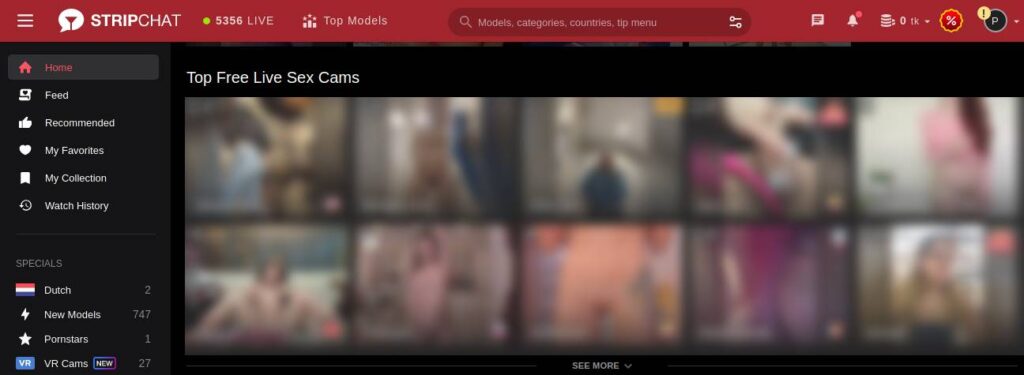 Home Page Of The StripChat With Cam Girls