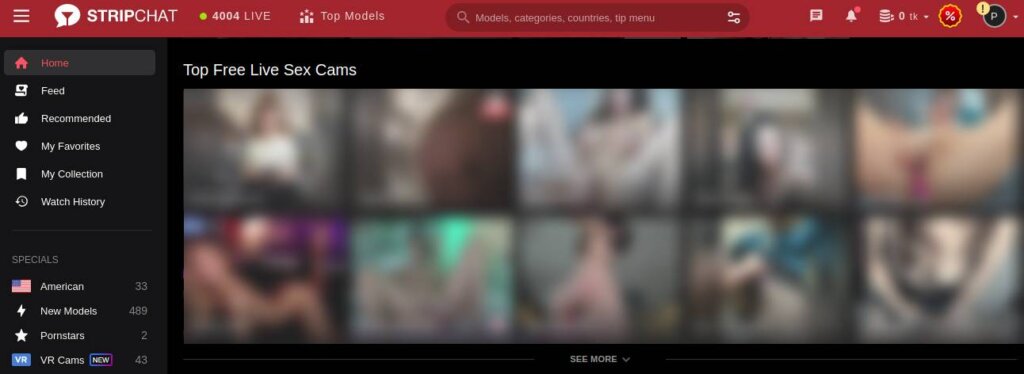 Screenshot Stripchat Main page