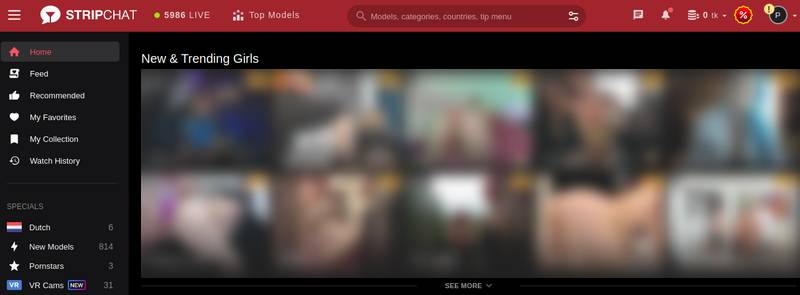 Stripchat Screenshot-Hauptseite