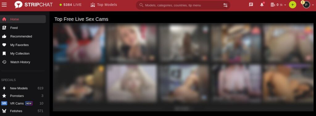 Screenshot der Stripchat-Hauptseite