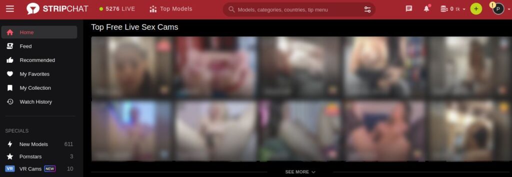 StripChat With Cam Girls