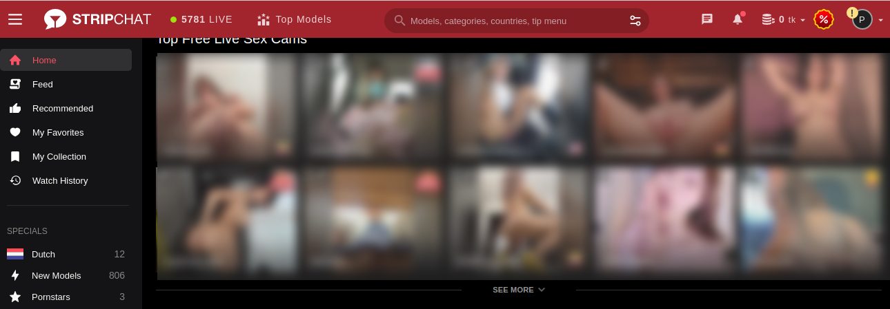Stripchat mit Cam Girls