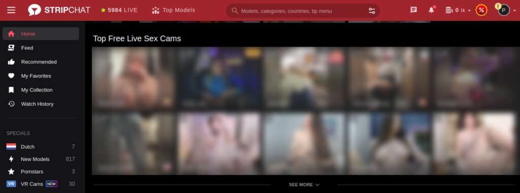 StripChat Main Page